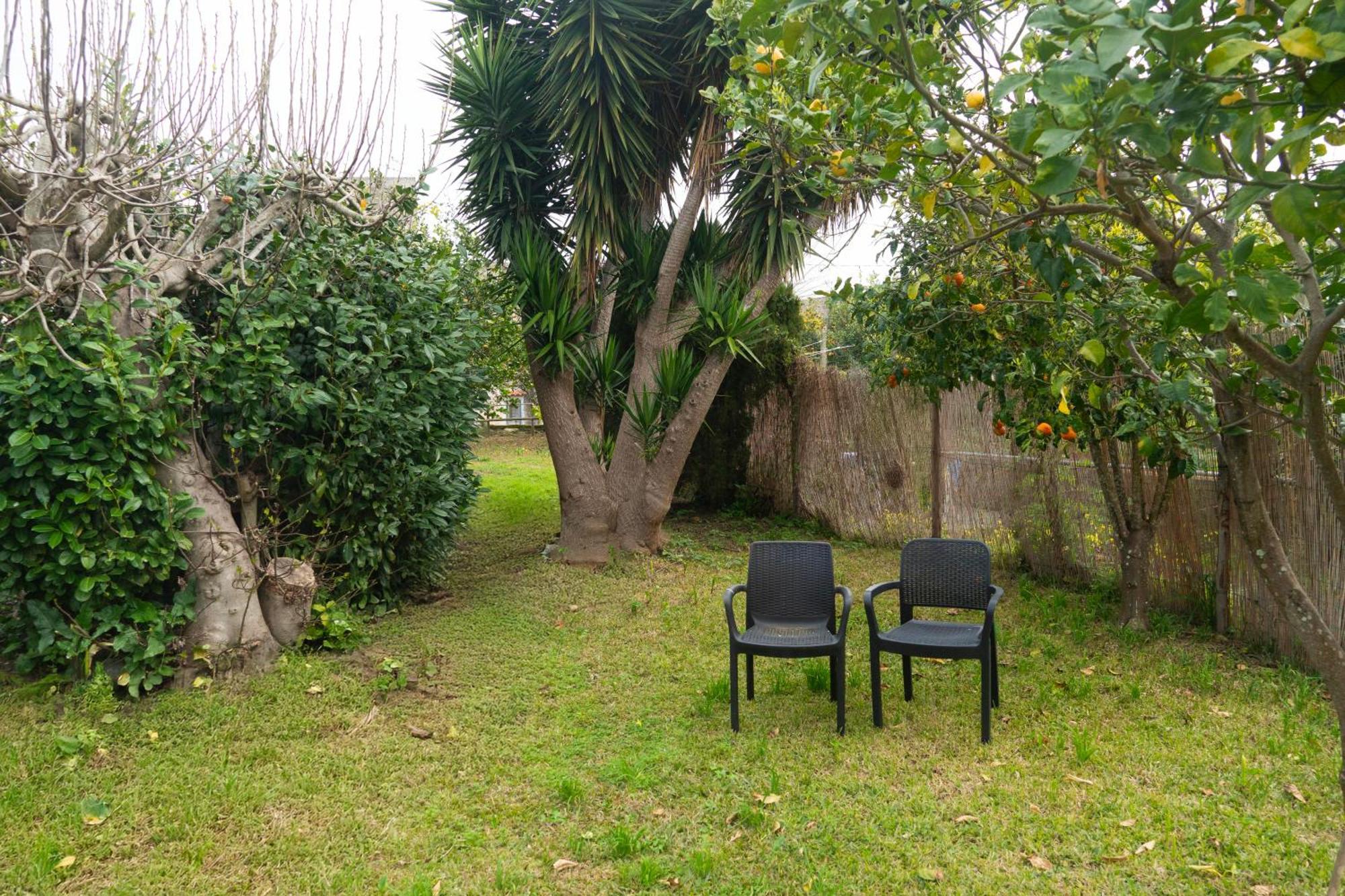 Ferienwohnung La Terrazza Sul Giardino Procida Exterior foto